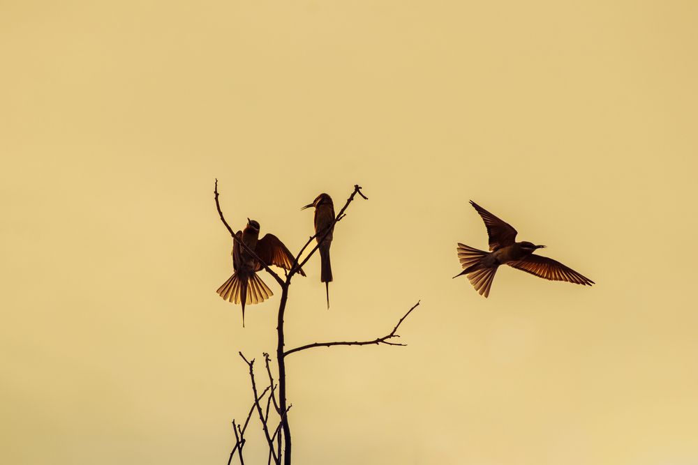 Perfect moment