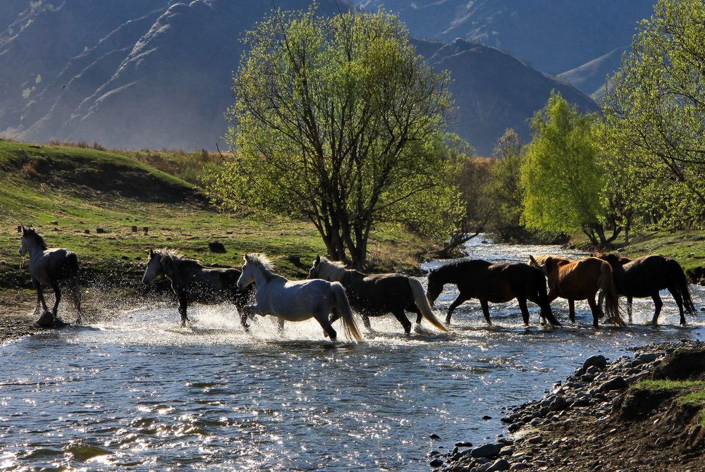 Photograph by Галина Хвостенко