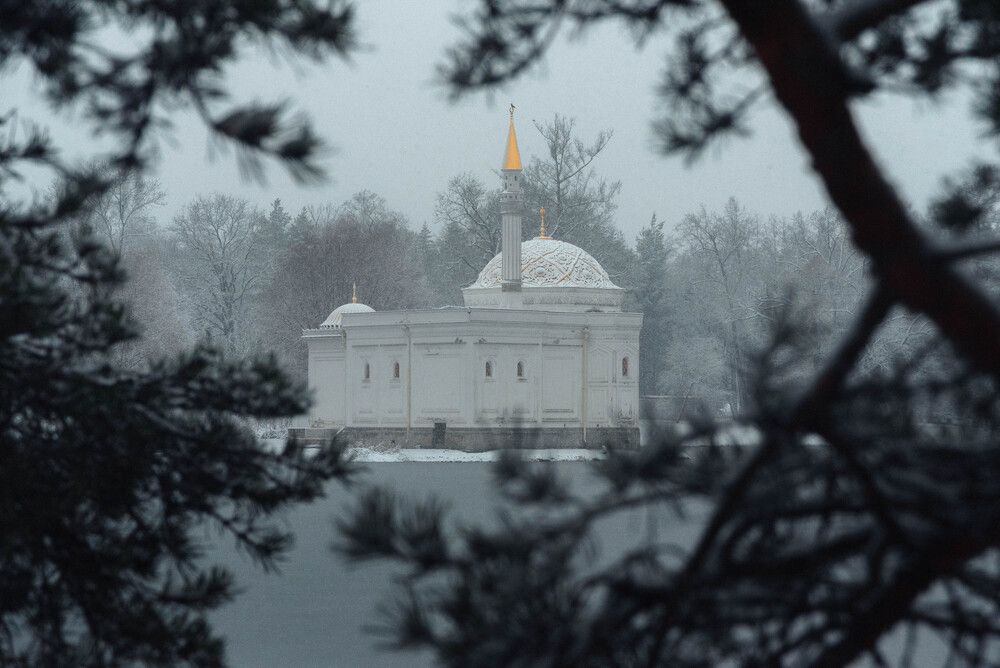 Photograph by Andrey Zhirnov