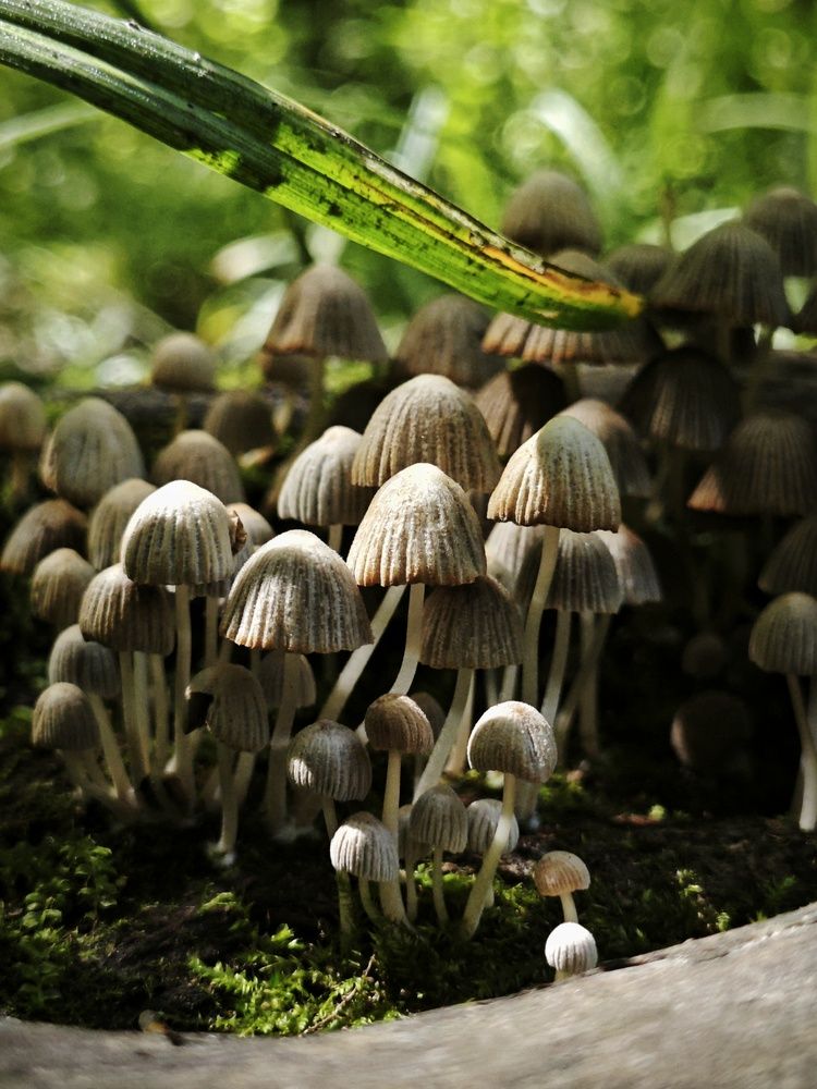 Photograph by Tatiana Potapenko
