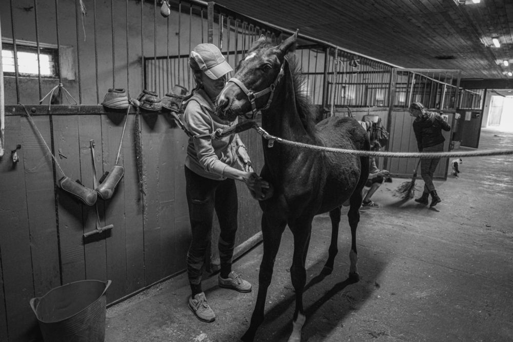 Photograph by Антон Золотухин