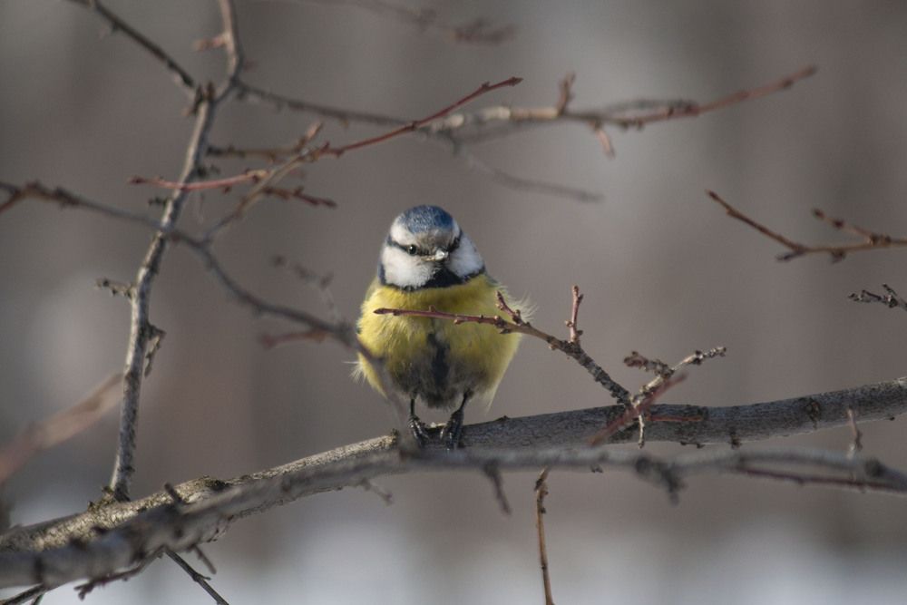 Фотография автора Потоцкий Вячеслав