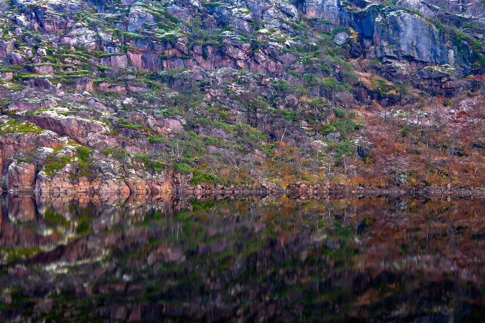 Фотография автора Александра Зимина