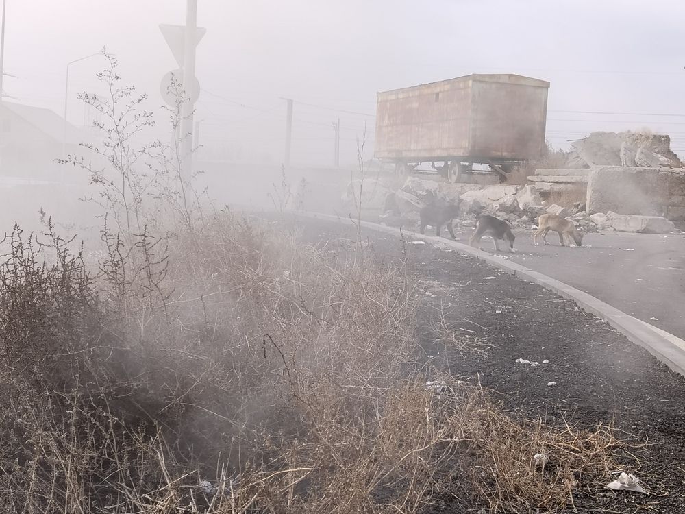 Фотография автора Марина Рафаелян