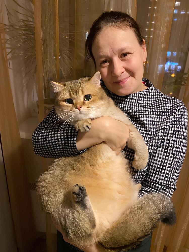 Любимец семьи