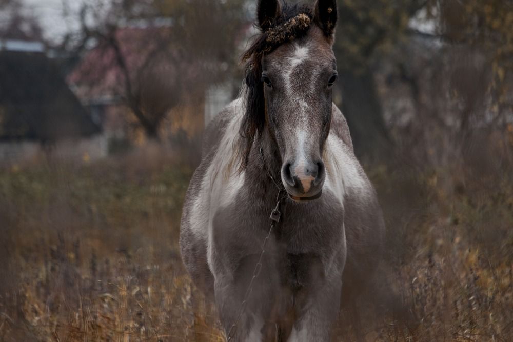 Фотография автора Татьяна Полянская
