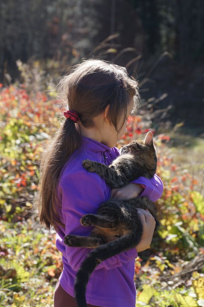 Фотография автора Margarita Teterkina