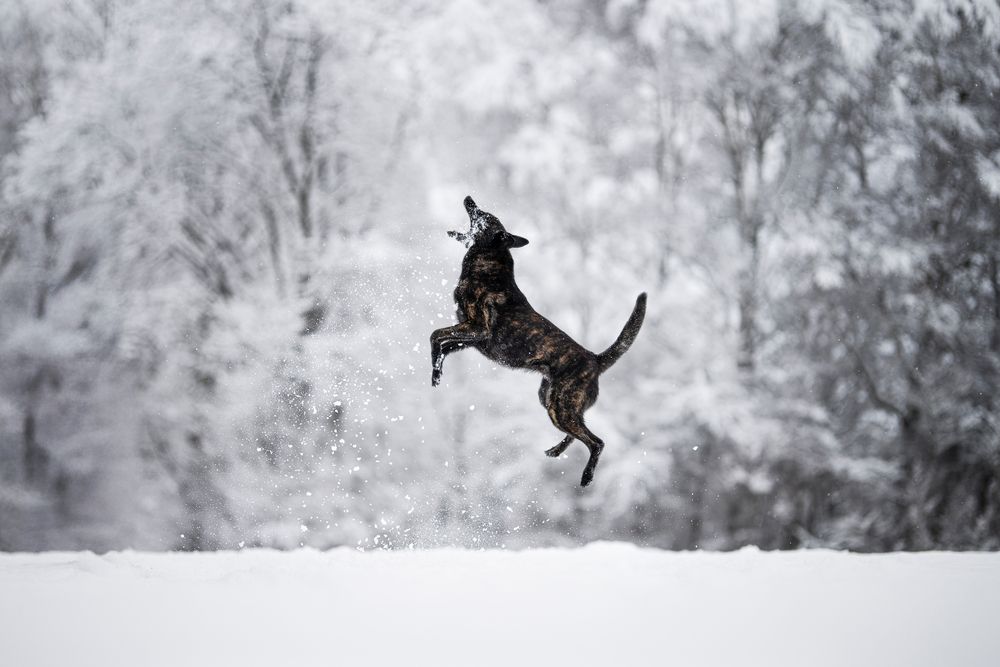 Photograph by karin bruhin