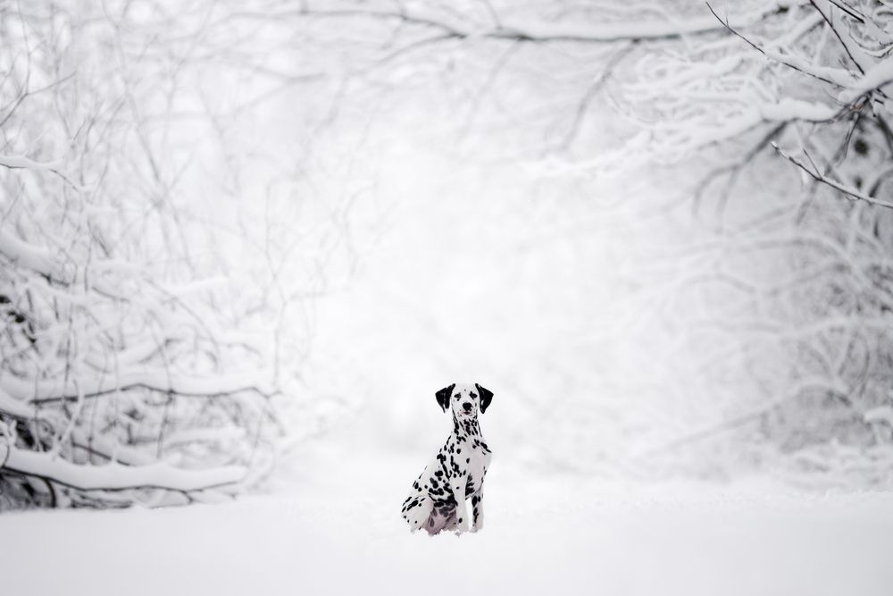 Photograph by karin bruhin