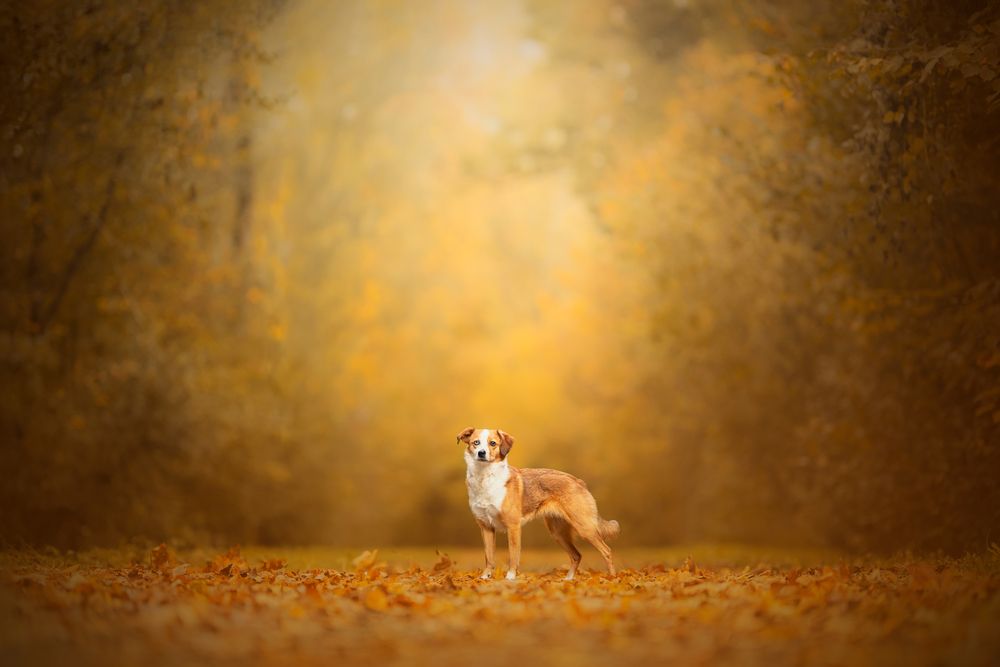 Photograph by karin bruhin