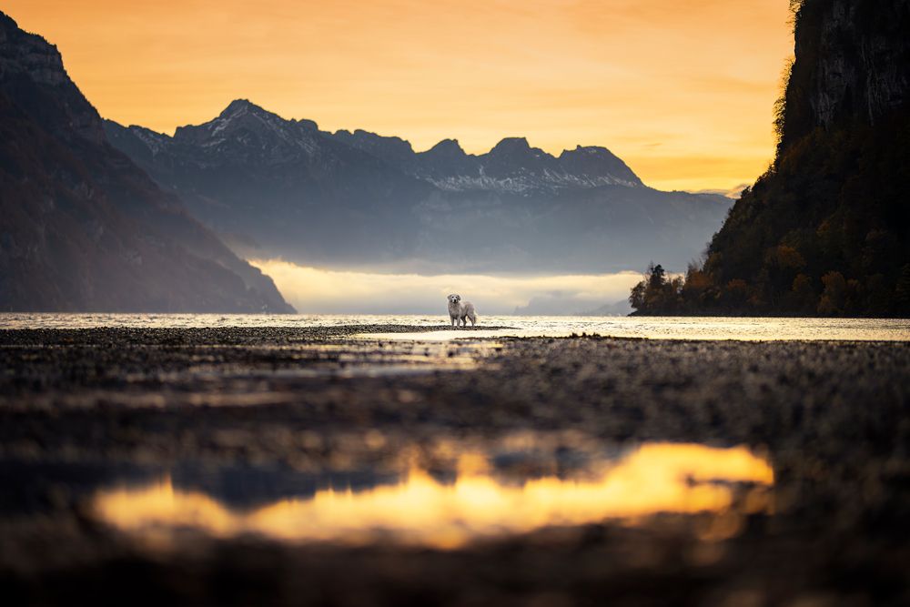 Photograph by karin bruhin