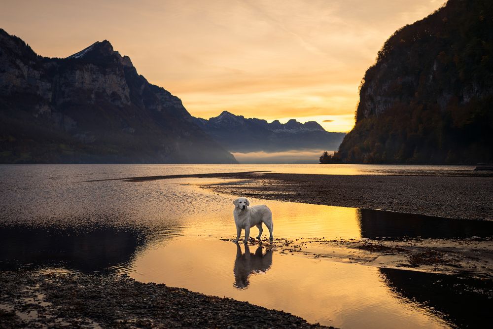 Photograph by karin bruhin