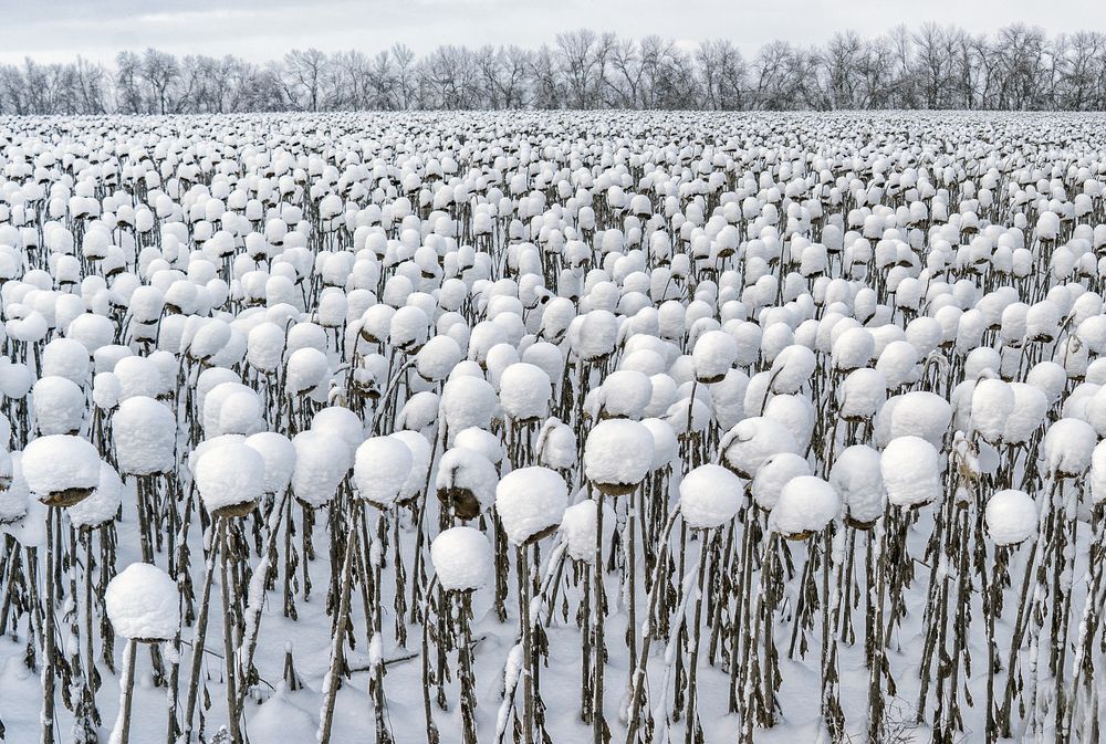 Photograph by Тамара Андреева