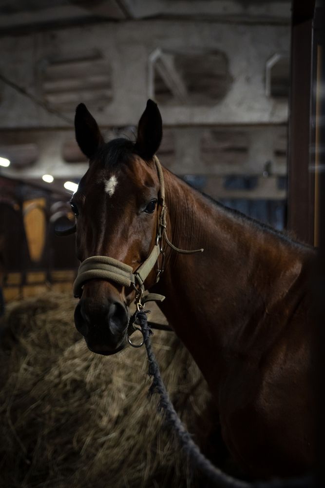 Photograph by Света Трифоненкова