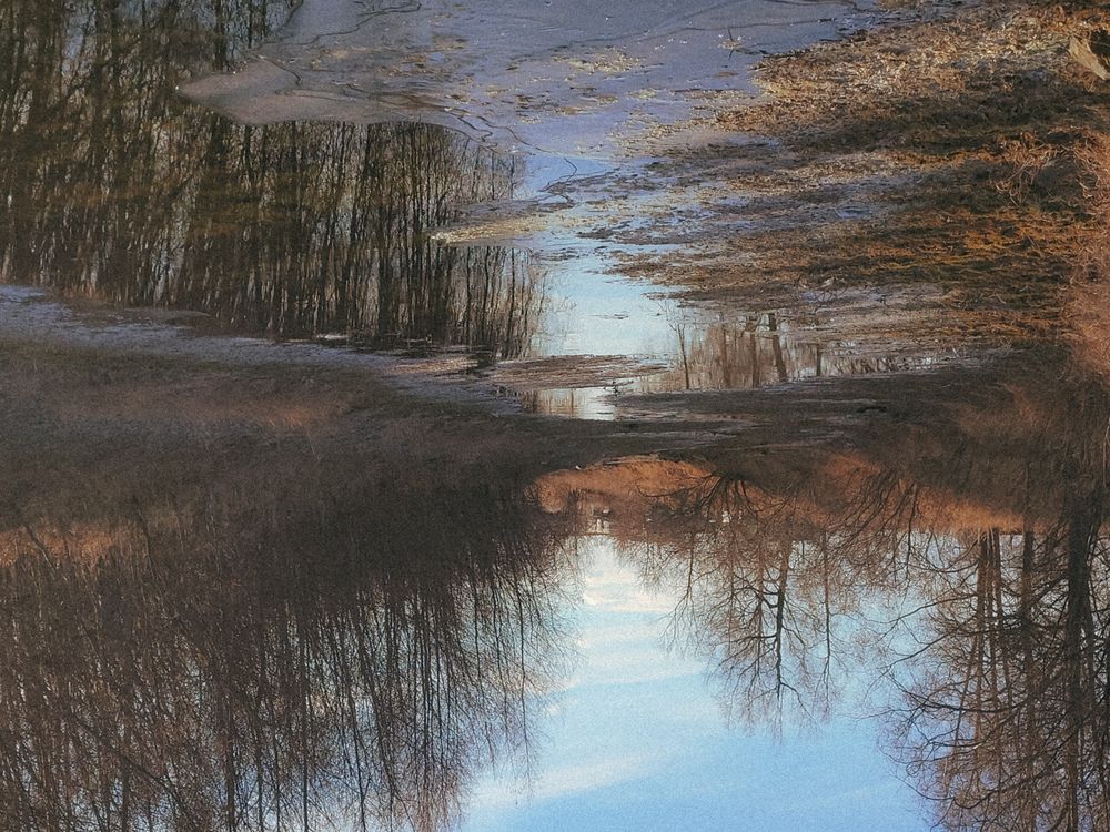 Фотография автора Людмила Казакова