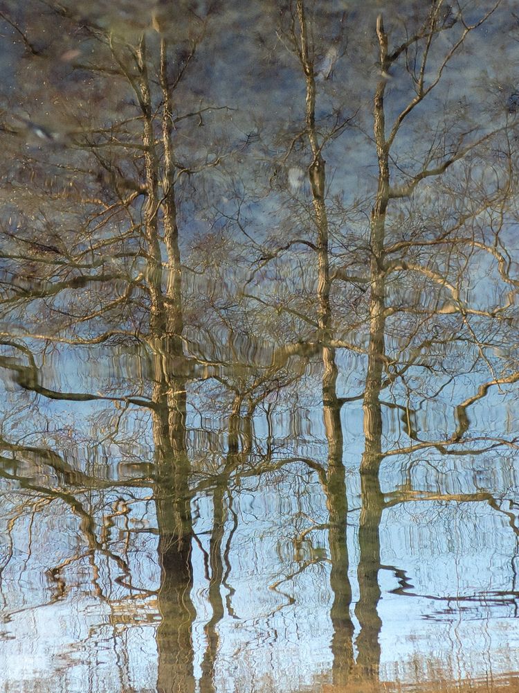 Фотография автора Людмила Казакова