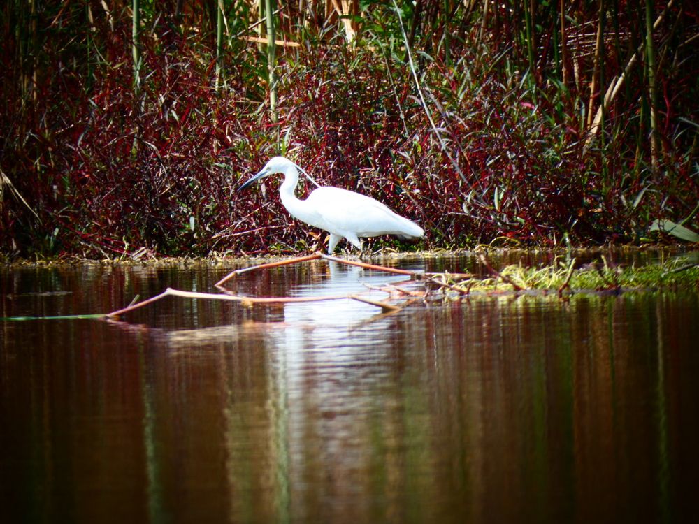 Photograph by Марина