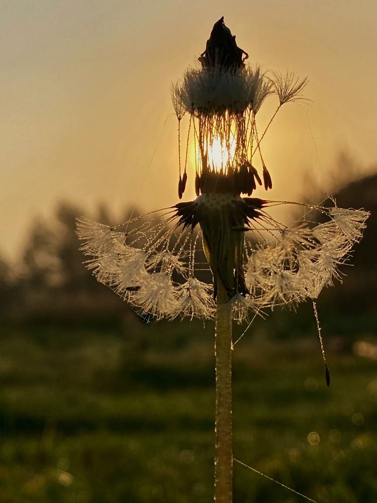 Photograph by Светлана Дмитриева