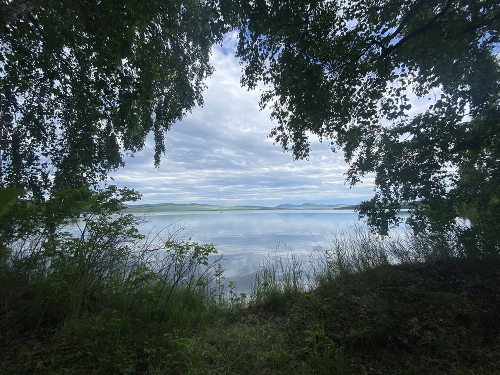 Photograph by Светлана Дмитриева