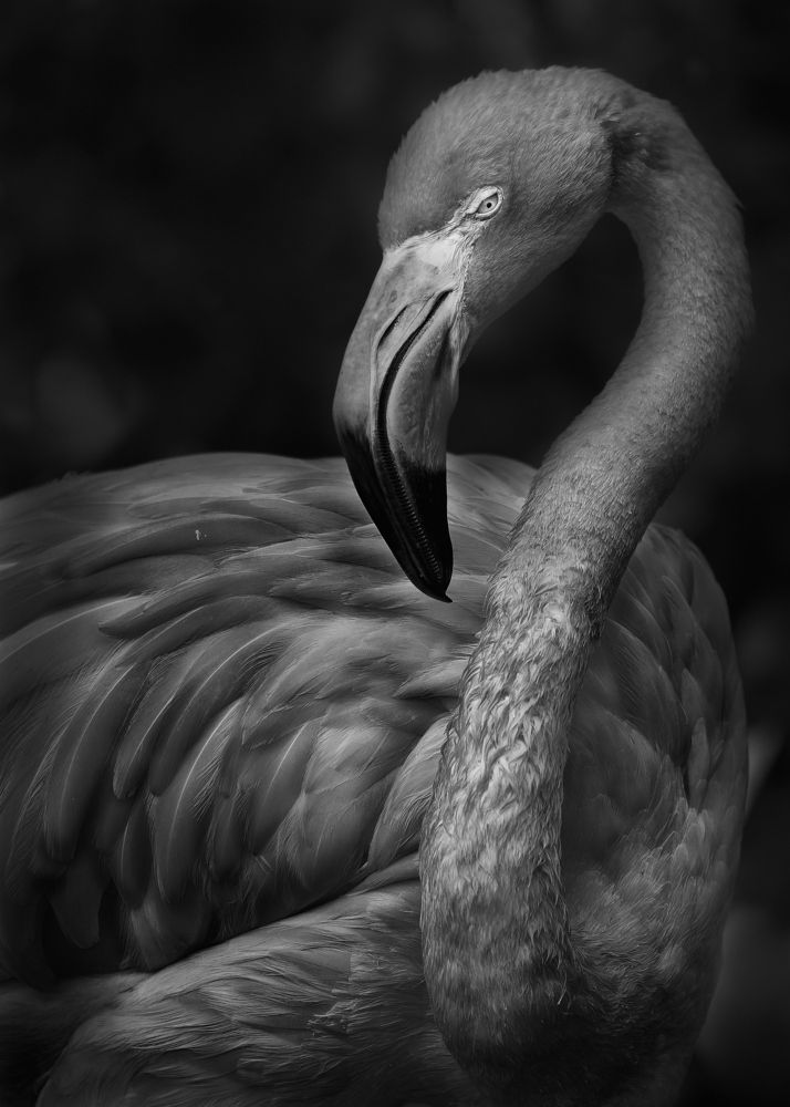 Фотография автора Kaisyakuji Yushi