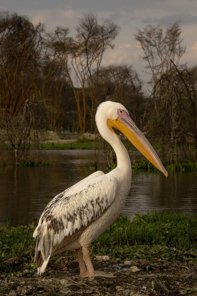 Photograph by Валерия