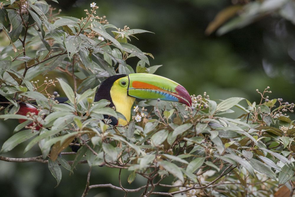 Do you agree that I have the most beautiful bill in the world?