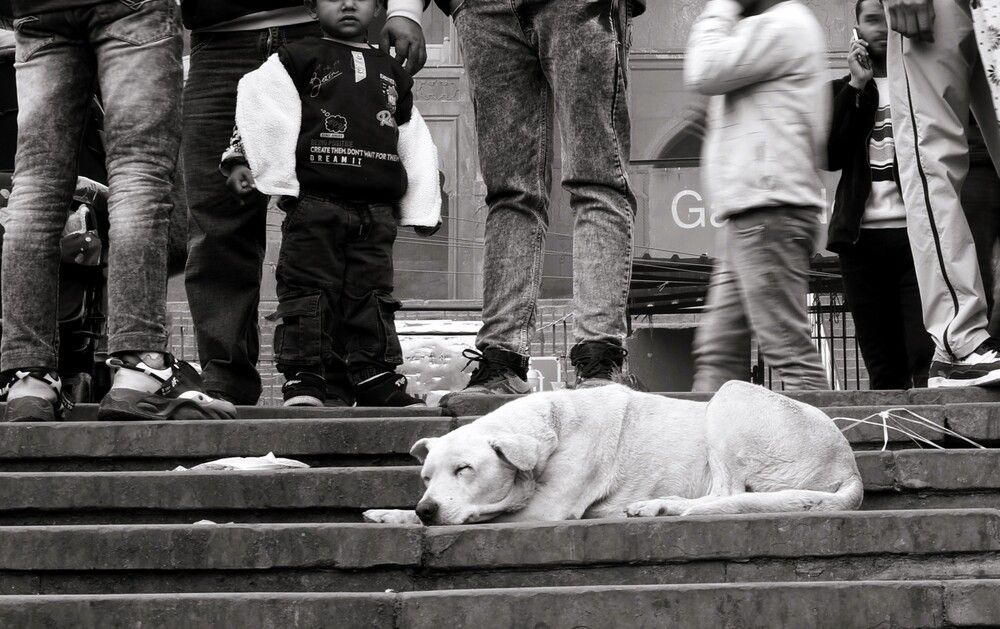 Photograph by G GOVIL