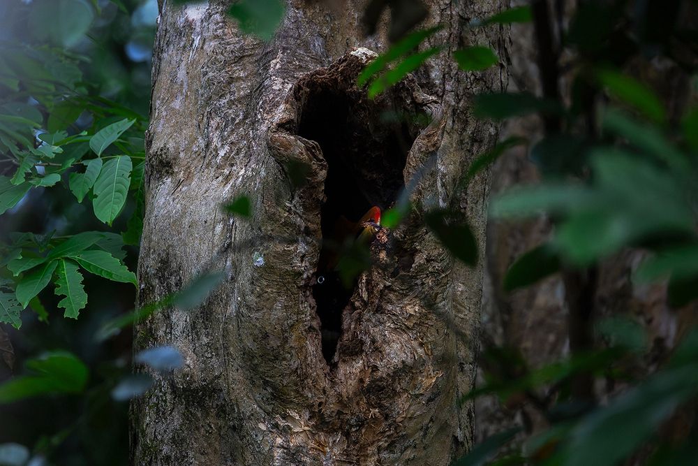 Photograph by Gobinda Dhara