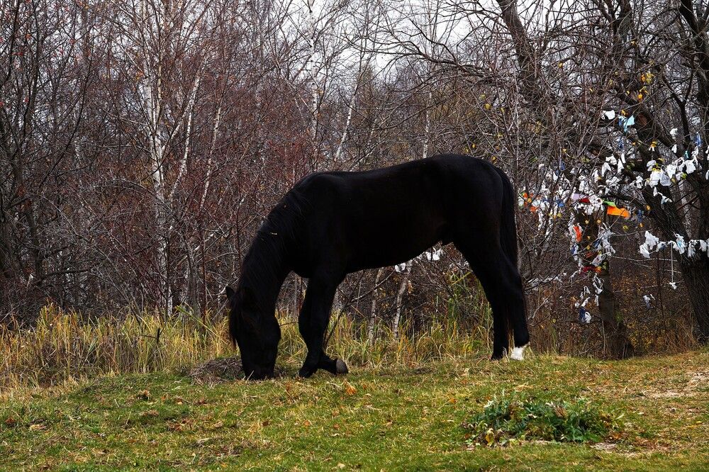 Photograph by Денис