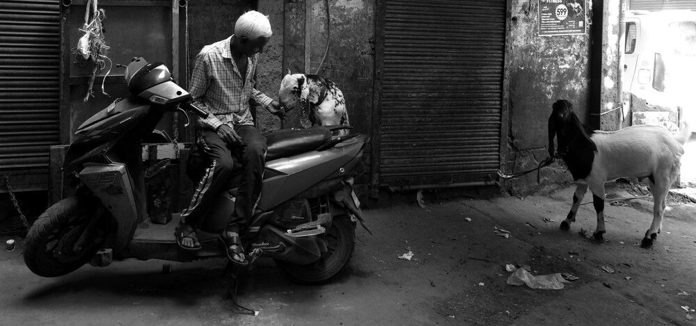 Photograph by G GOVIL