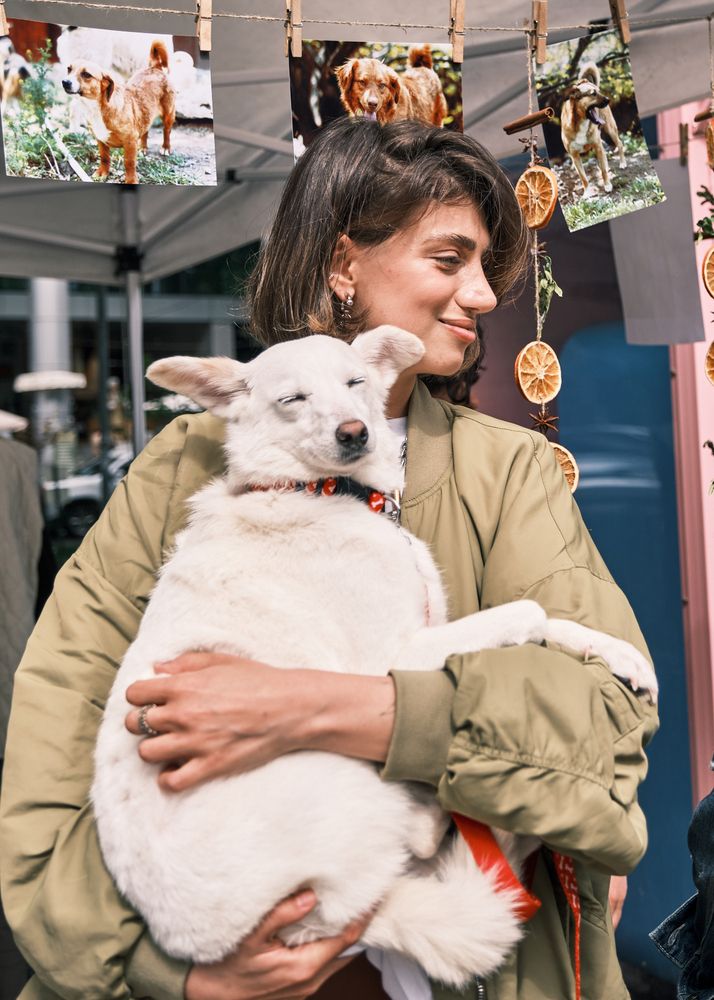 Фотография автора Владимир Эделев