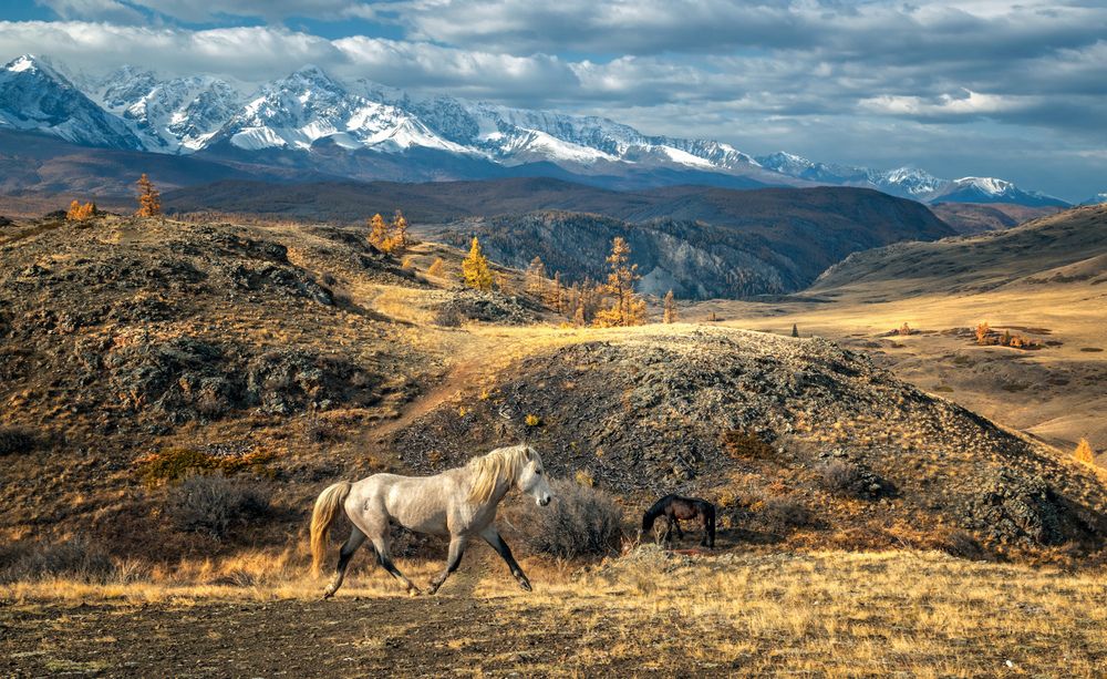 Photograph by Lora Pavlova