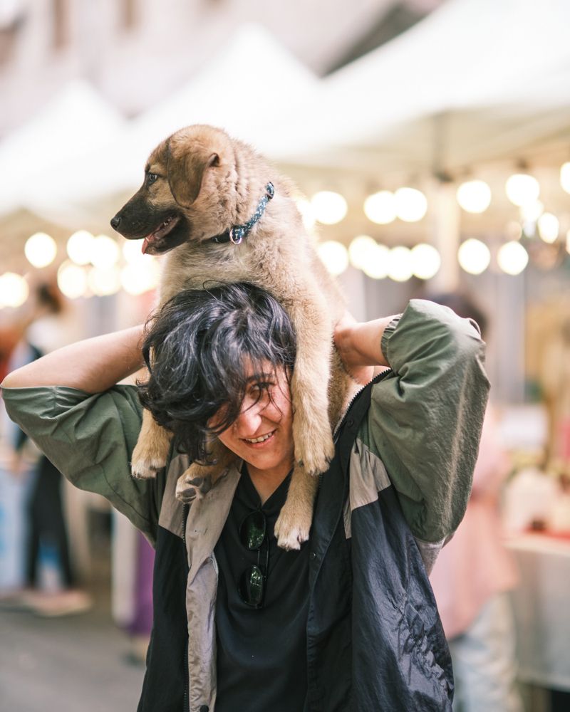 Фотография автора Владимир Эделев