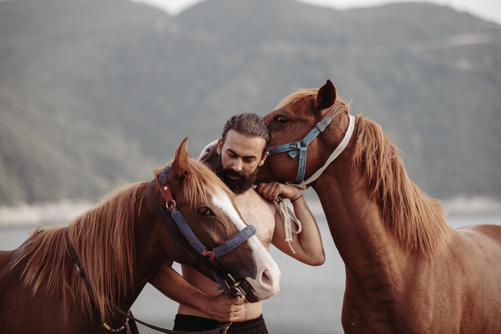 Фотография автора Jalal Ibrahim