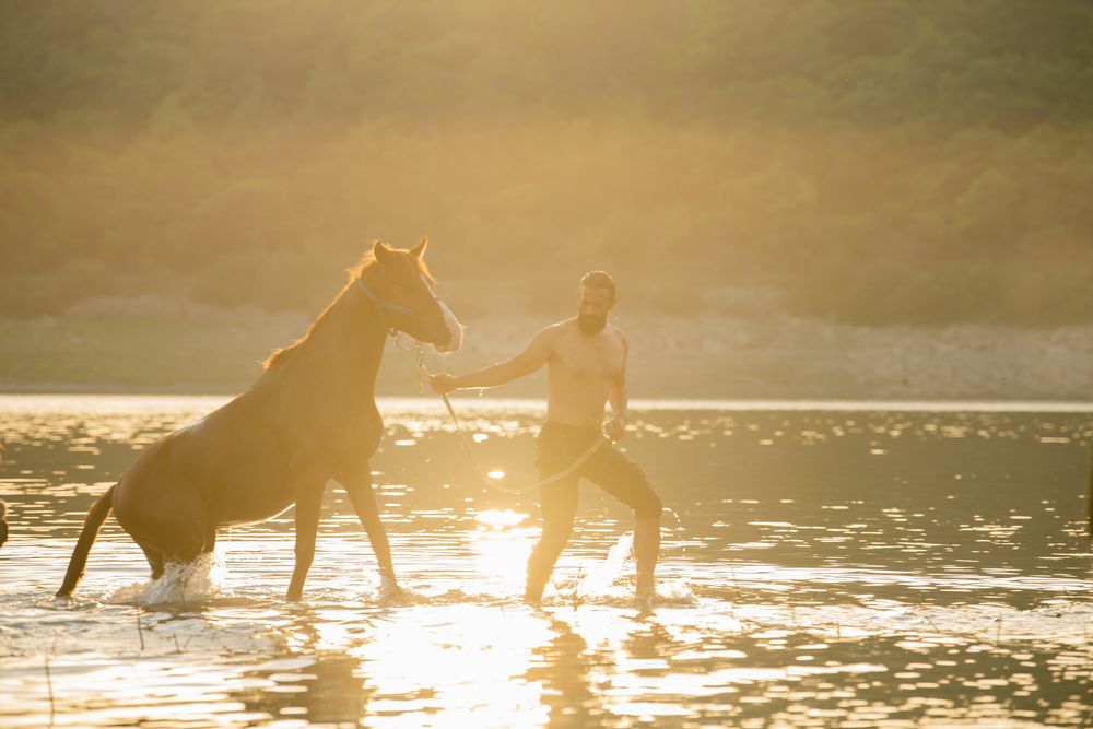 Фотография автора Jalal Ibrahim