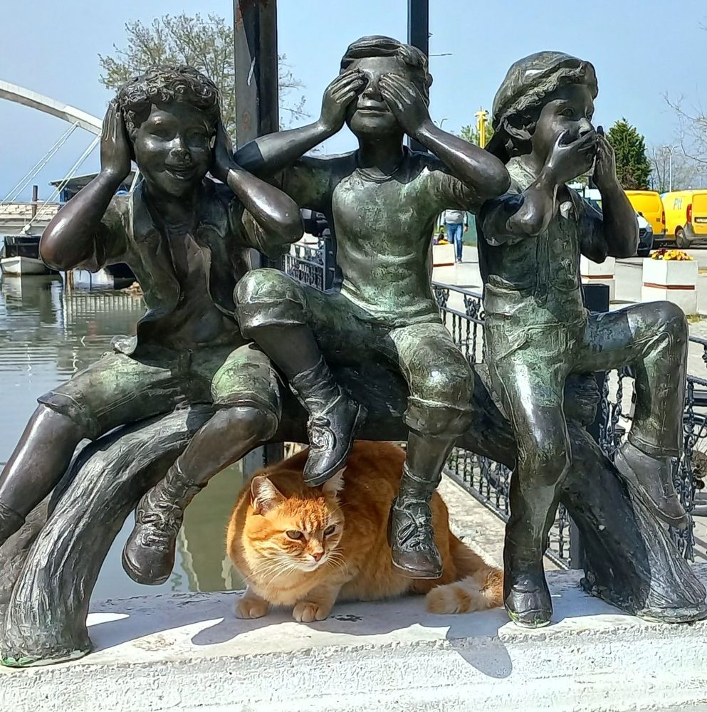 Фотография автора Евгений Савулькин