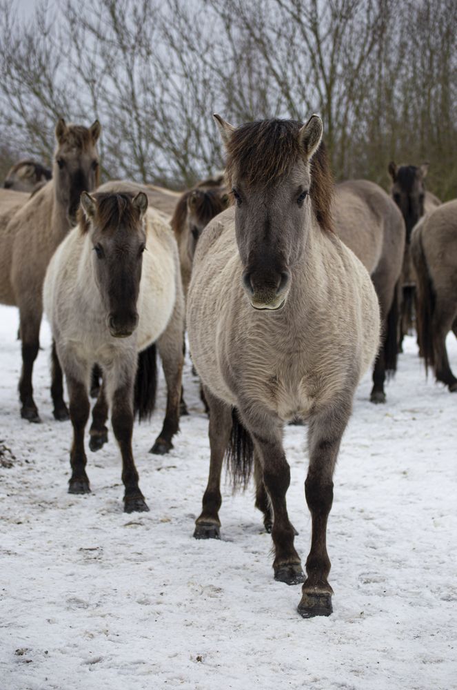 Photograph by Leanid Kulpo