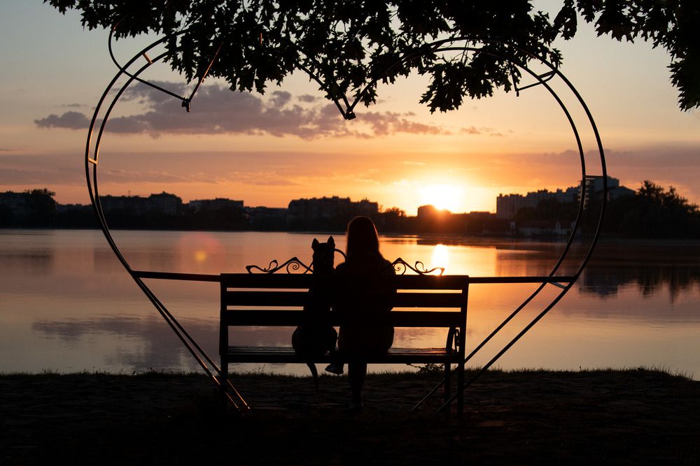 Фотография автора Sofiia Lapta