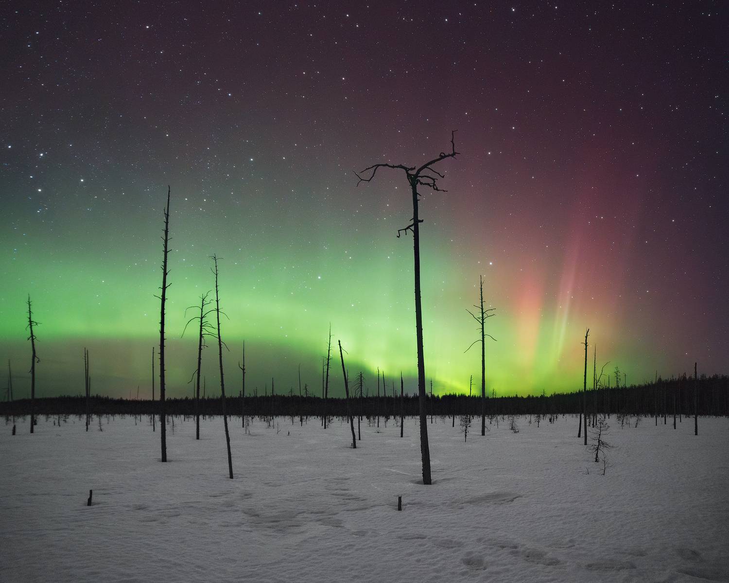 Фотография #13122681