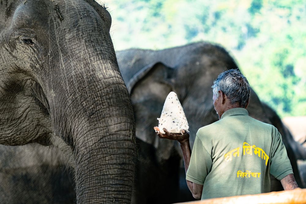 “A Gesture of Care”