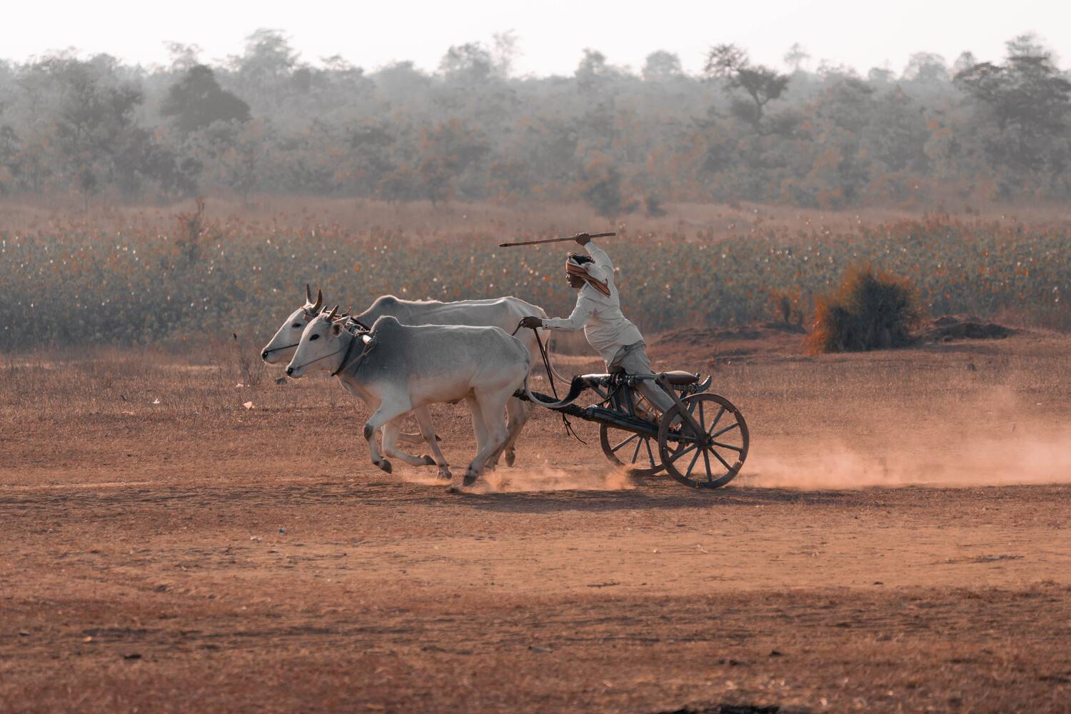 “Shared Momentum”