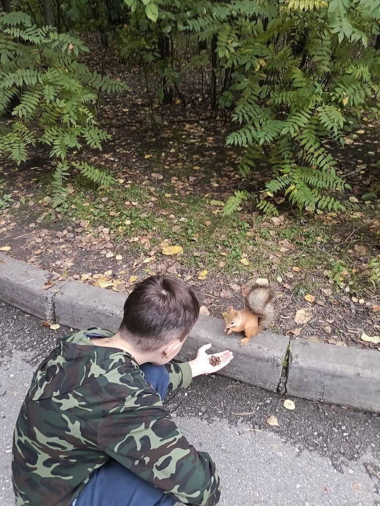 Photograph by Ольга Петрова