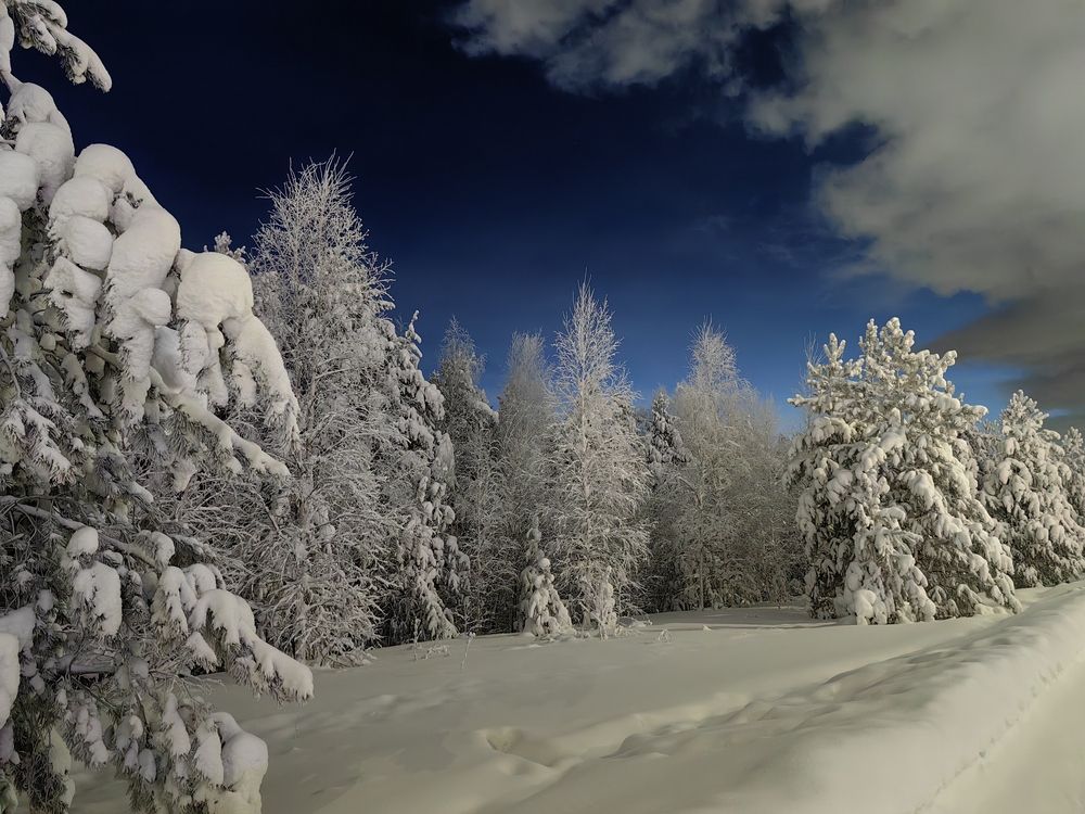 Photograph by Миля Сухарева