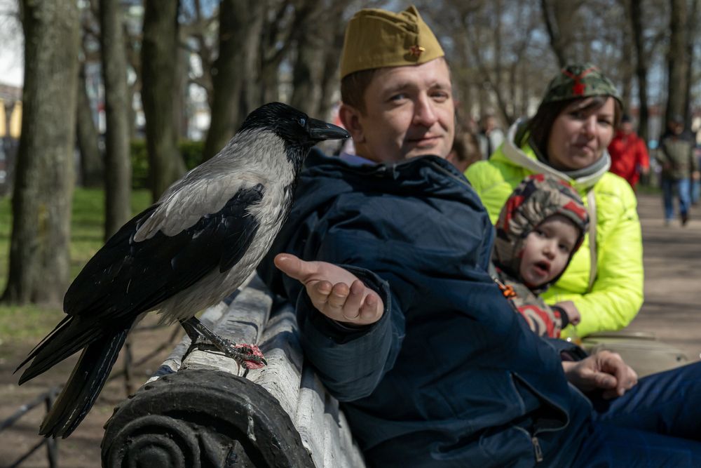 Photograph by Dimitri Bakhtadze