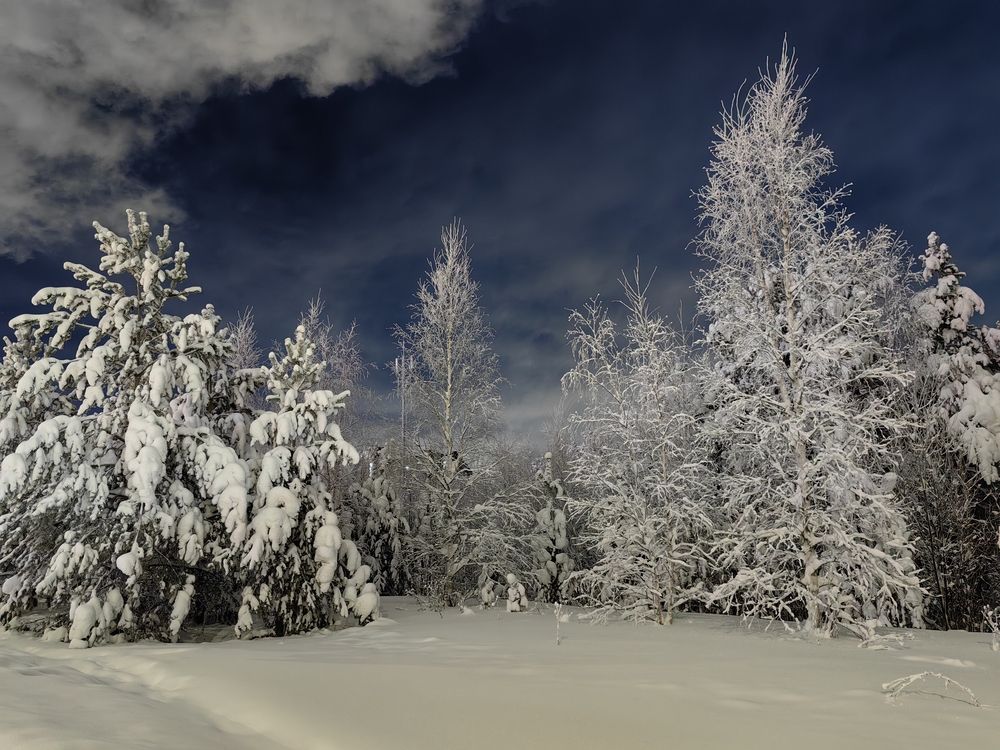 Photograph by Миля Сухарева