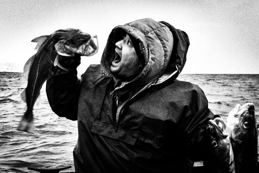 Photograph by Dimitri Bakhtadze