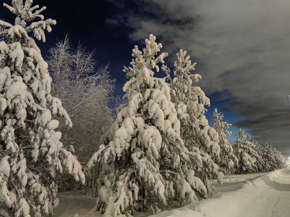 Photograph by Миля Сухарева