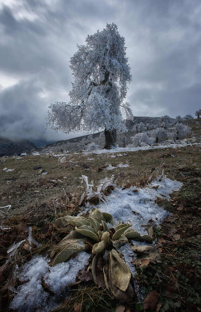 Photograph by Antonio Marquez Lanza