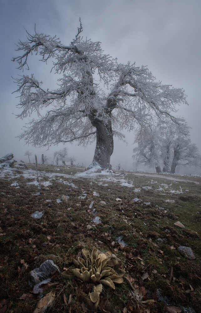 Photograph by Antonio Marquez Lanza