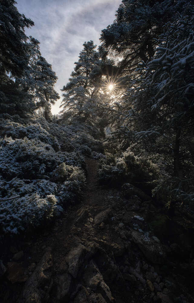 Photograph by Antonio Marquez Lanza